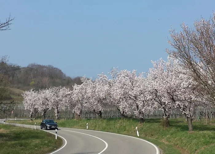 Berger Kurparkresidenz 아파트