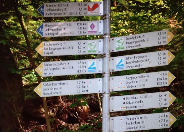 Berger Kurparkresidenz Διαμέρισμα Bad Bergzabern